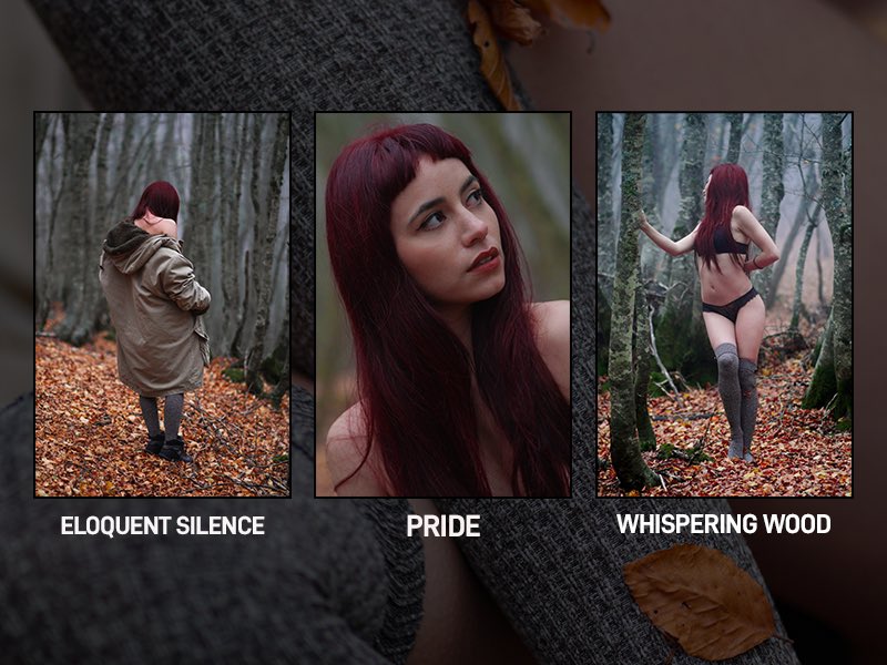 Dear friends and collectors

🍂Pride 
🍂Foliage
🍂Eloquent Silence
🍂Whispering Wood 

are still available at 0.3 Eth on
opensea.io/collection/fol… 

If I have to make a sale between TODAY and TOMORROW I’ll sing #GM with a different song for the whole month 🤝😂

♻️ spread the word