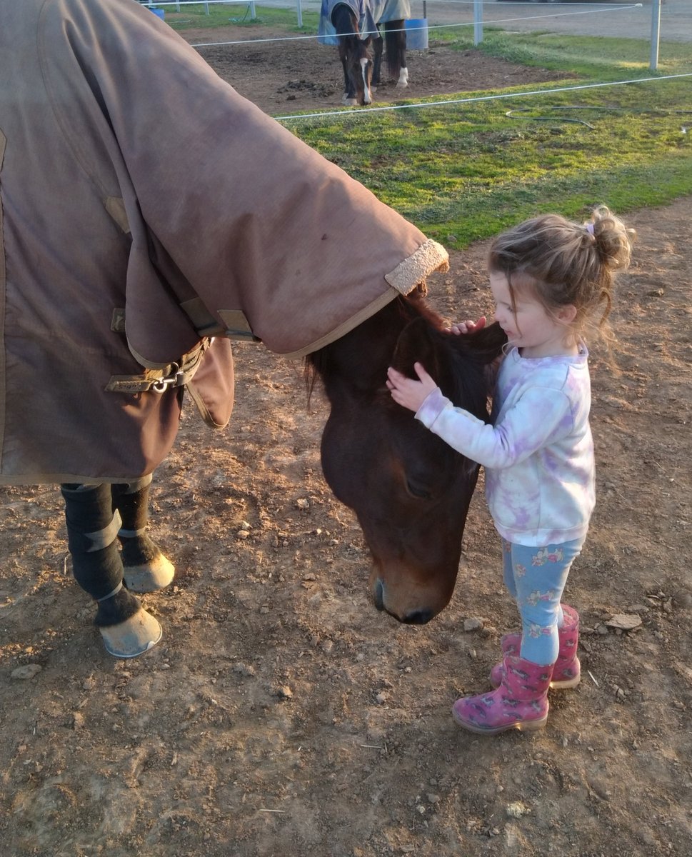 Sammys ideal always happy to put his head down for bonnie to have a cuddle .. sweetest boy <a href="/MickyCalg/">Michael Callegari</a> 

#LoveTheHorse
