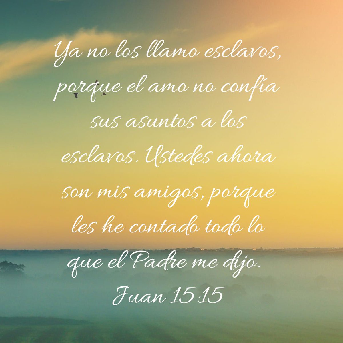 cesarin1026's tweet photo. Ya no los llamo esclavos, porque el amo no confía sus asuntos a los esclavos. Ustedes ahora son mis amigos, porque les he contado todo lo que el Padre me dijo.
Juan 15:15 NTV

https://t.co/lGEk6SDrGO https://t.co/wesVLw5bn4