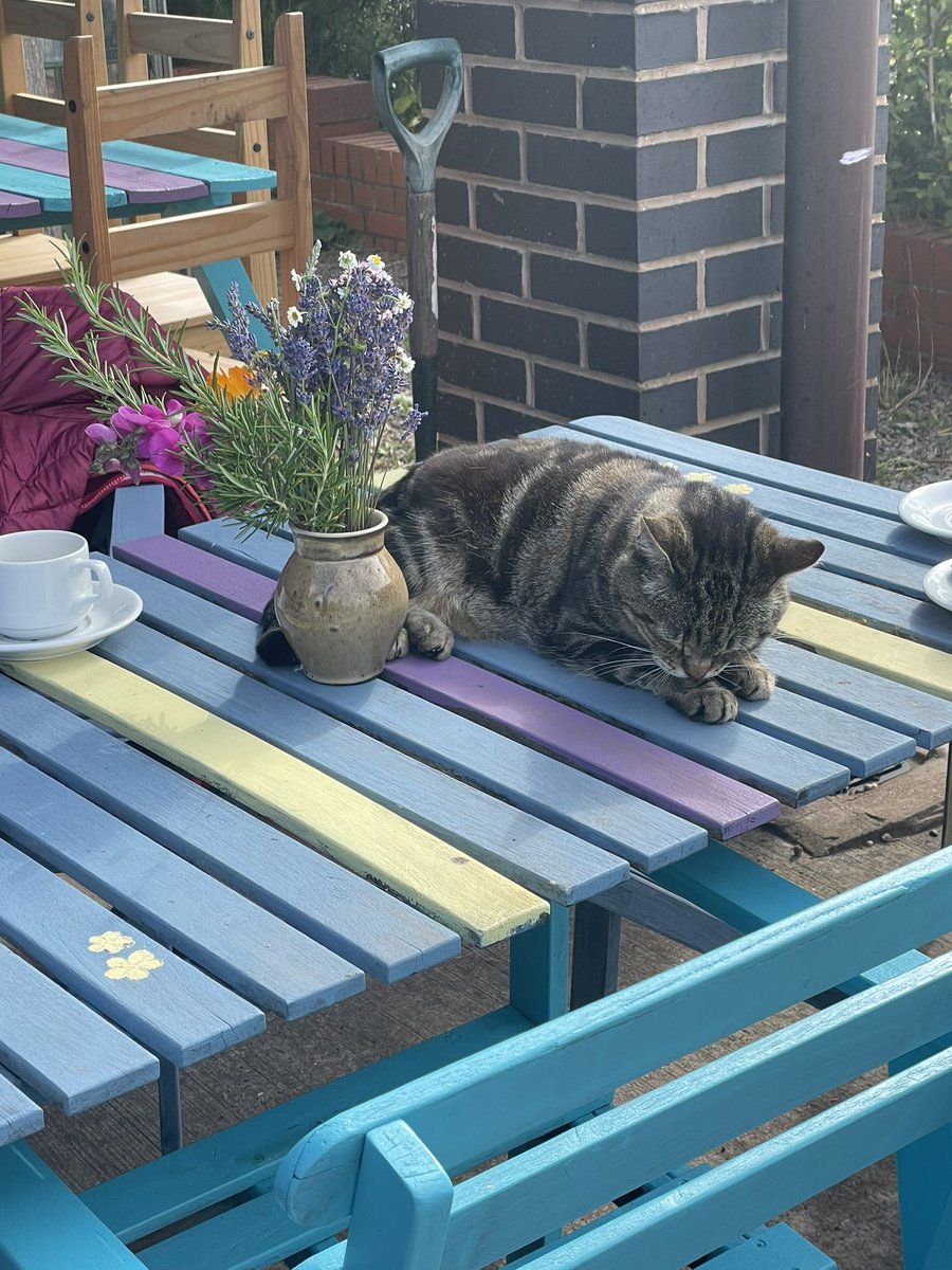 sara_thakkar's tweet photo. @CamphillVillag1 @robinasquith @annk_hp @PhilipG47911940 1 of those days when you just brim with pride for your team, your purpose and that sense of nailing it! A great day at our social garden in Stourbridge #pastpresent&future #working2gether #teamwork #ceotrusteestaffpartners https://t.co/wnxOmGozR5