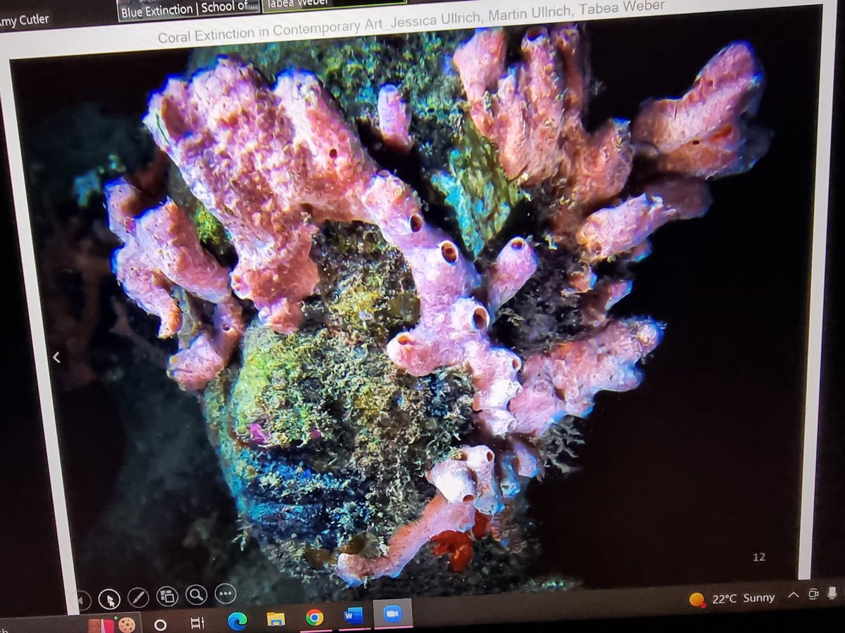 dr amy cutler (@amycutler1985) on Twitter photo Tabea Weber, Martin Ullrich and Jessica Ulrich's paper happening right now on visual and conceptual cultures of coral extinction! <a href="/murrayrachel89/">Rachel Murray</a> <a href="/verafibisan/">Dr Vera Fibisan</a> <a href="/ShefAnimals/">ShARC</a> <a href="/blue_extinction/">Blue Extinction</a> Tabea Weber, Martin Ullrich and Jessica Ulrich's paper happening right now on visual and conceptual cultures of coral extinction! <a href="/murrayrachel89/">Rachel Murray</a> <a href="/verafibisan/">Dr Vera Fibisan</a> <a href="/ShefAnimals/">ShARC</a> <a href="/blue_extinction/">Blue Extinction</a>
