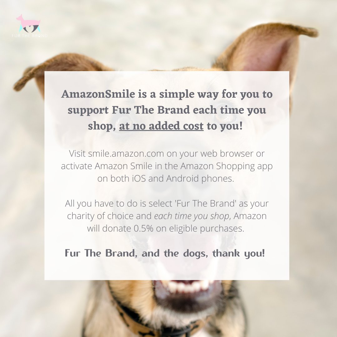 Fur The Brand tweet media