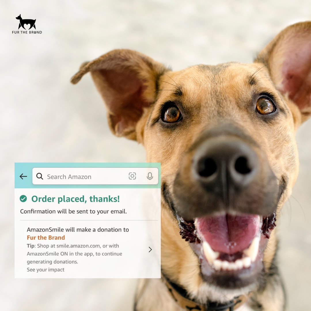 Fur The Brand tweet media