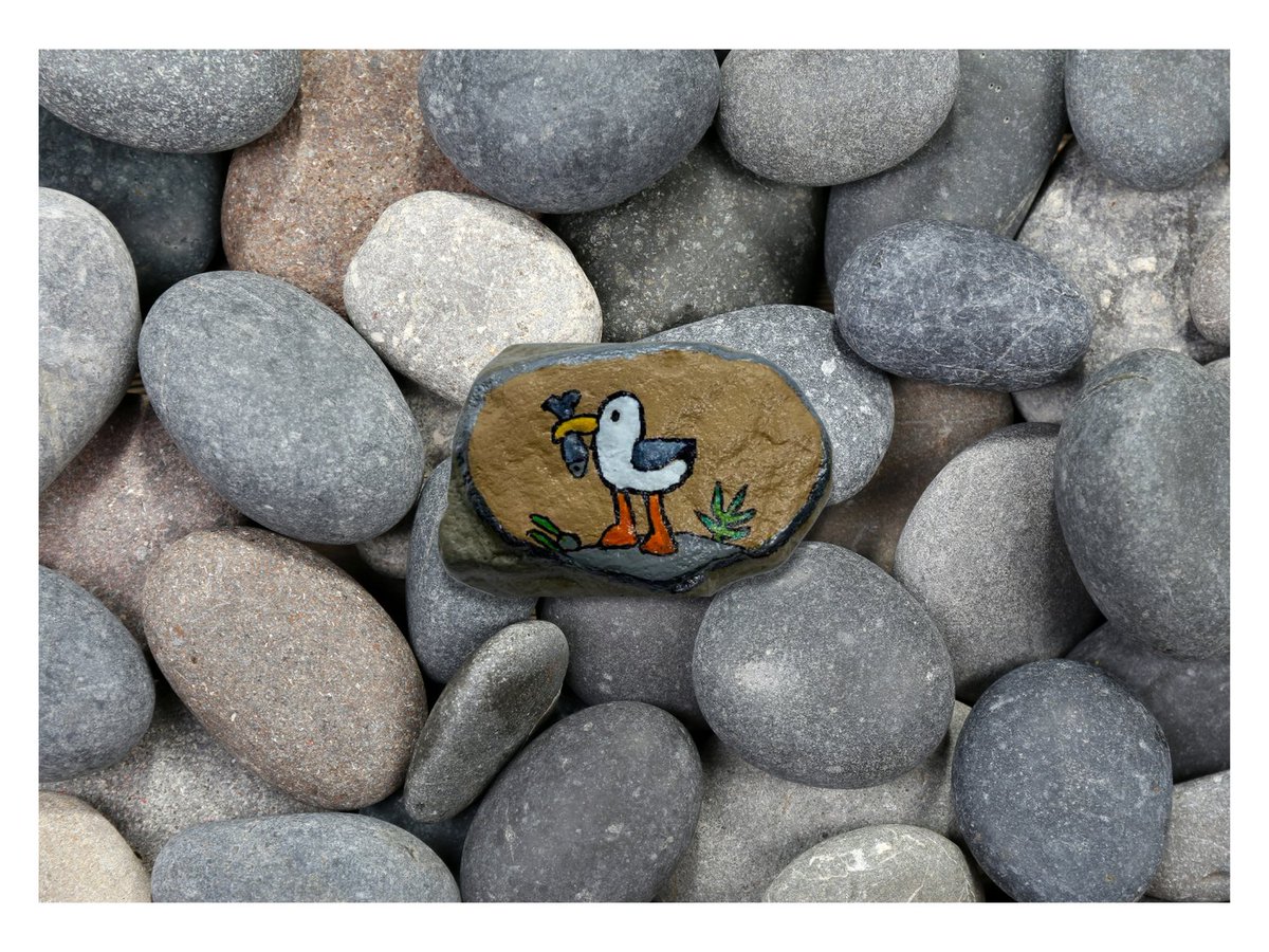 PebblesBC's tweet image. Just a lil hungry seagull.

#rockartist #rockpaintingartist #handpaintedrocks  #playfulpebblecrafts #handpainted #paintedrocks #pebbleart #pebblepainting #rockpainting #rockart  #pebbleartist #followme #morelikes #etsyshop #supportsmallbusiness #uniquegiftideas #smallbusiness