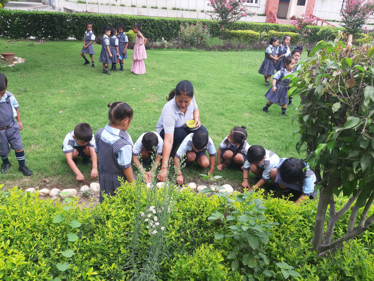 Vandana99152's tweet photo. He who plants a tree , plants a hope!🌳
Today students of nursery and LKG celebrated #VanMahotsav with great enthusiasm 
@pkdhillon08 @JyotiBh28005578 @Sujata12653490 @charuchhabra2 @KnpsIndia @RiseUp4SDGs https://t.co/IyEBGicJsG