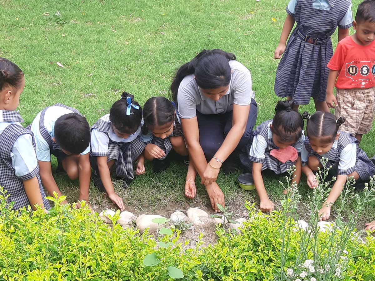Vandana99152's tweet photo. He who plants a tree , plants a hope!🌳
Today students of nursery and LKG celebrated #VanMahotsav with great enthusiasm 
@pkdhillon08 @JyotiBh28005578 @Sujata12653490 @charuchhabra2 @KnpsIndia @RiseUp4SDGs https://t.co/IyEBGicJsG