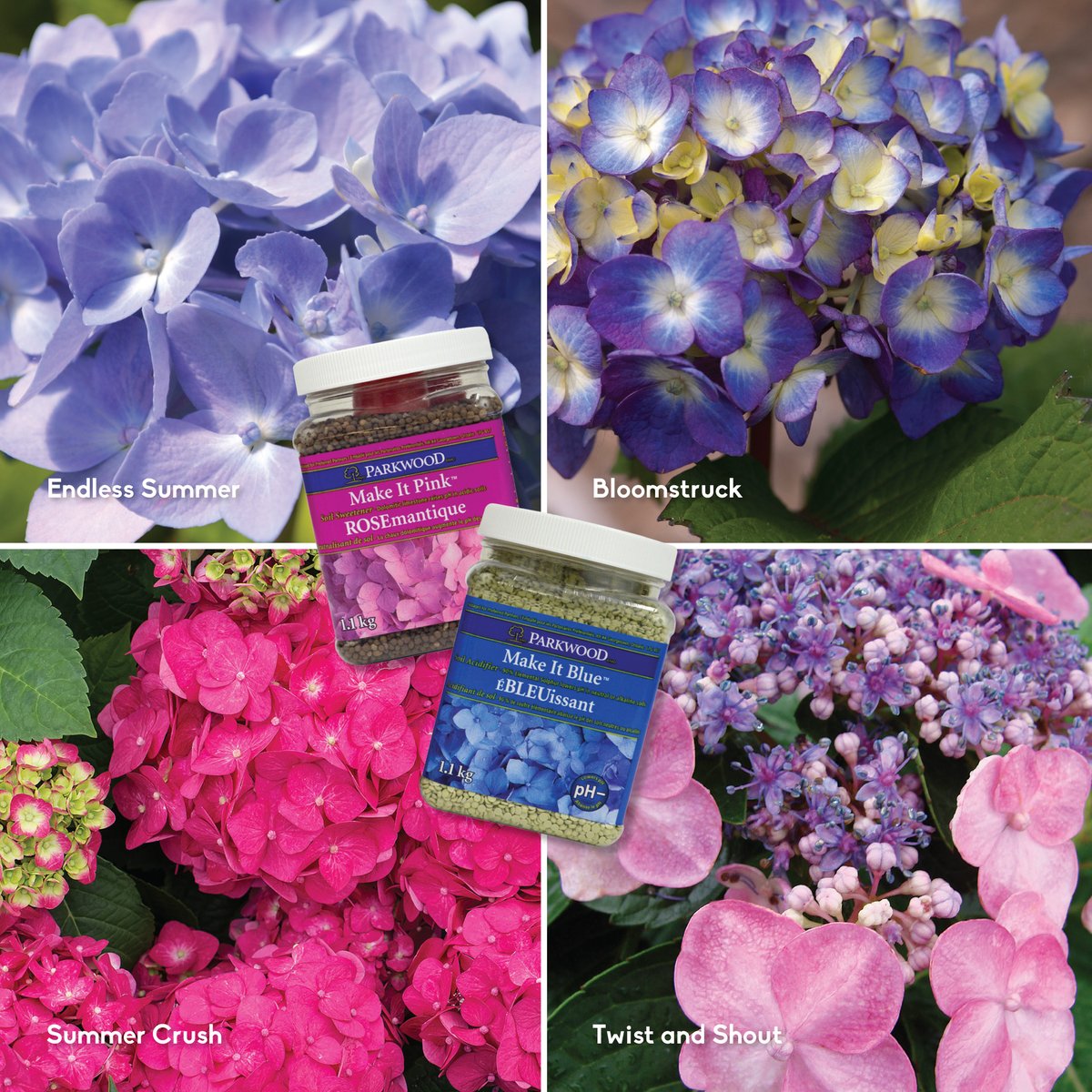 New flyer: The hydrangea festival is here!
🌻All shrub hydrangeas on sale
🌻Patio Furniture 30% off
🌻Tropical houseplants, buy more and save
🌻Perennials
🌻Small fruit and fruit trees
See the link below to view our full flyer!
ow.ly/NEtX50JQIgW