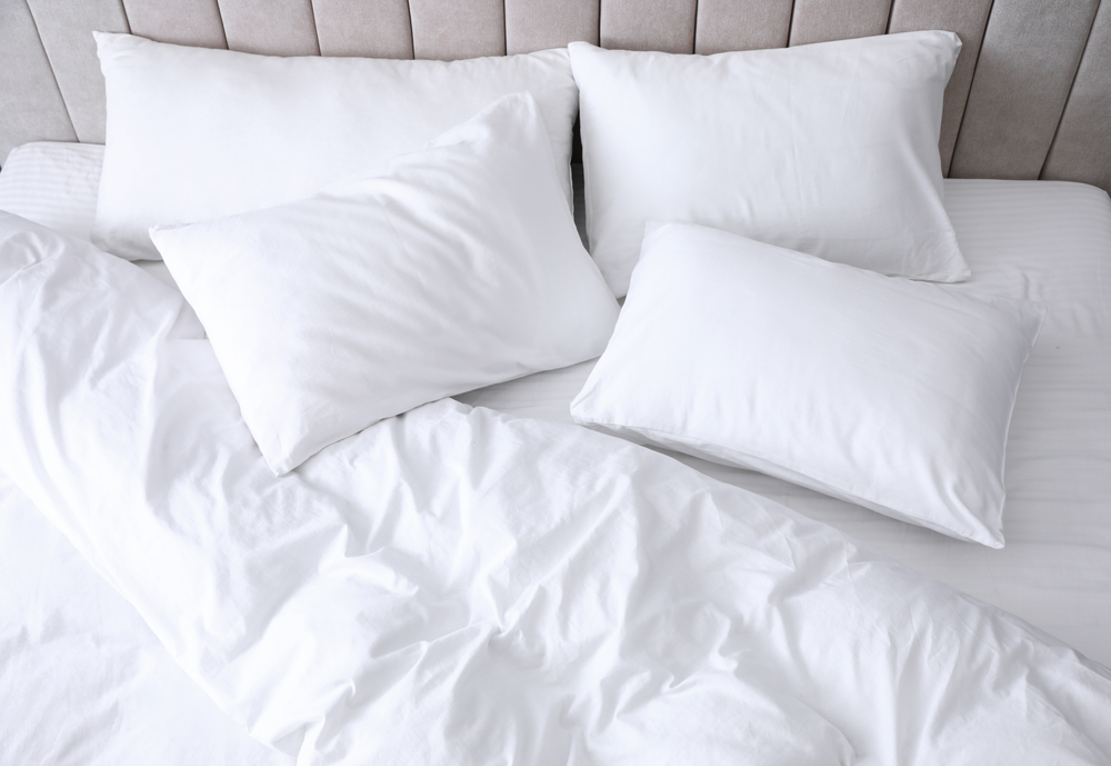 linenslimited's tweet photo. Have you read our latest blog about how many pillows you should sleep with? 👀

Feeling inspired…? Just use code BLOG10 for an exclusive 10% off all pillows! 

Hurry, offer ends tomorrow at midnight! https://t.co/HohRShTzGd https://t.co/zyGck5ZdZU