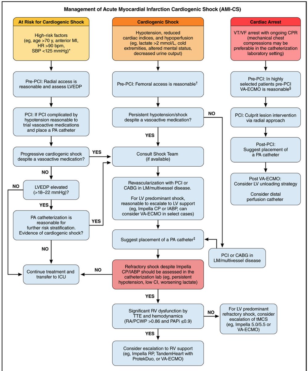 (10/14) Algorithm for escalation of temporary mechanical support devices in patients with acute myocardial infarction complicated by cardiogenic shock **Outstanding! 👇👇👇