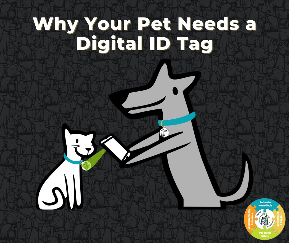 A pet's digital ID tag is their first line of defense should they go missing. With a digital ID tag, ANYONE with a smartphone can scan the tag and connect with you to get your pet back to you fast and safe. More reasons your pet needs a digital ID tag: ow.ly/qnG950JJ3Gj