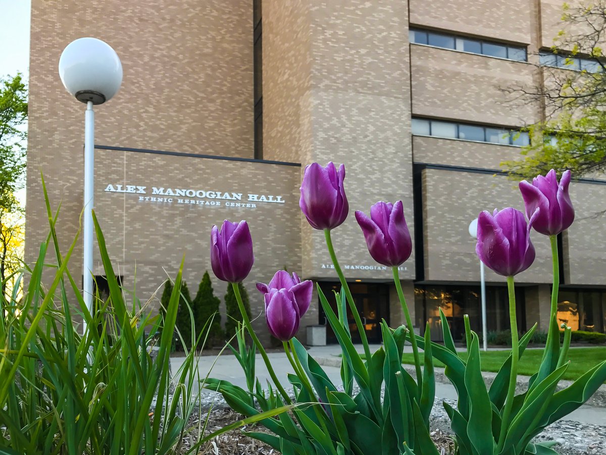 WSUTSSC's tweet image. Warrior Summer Preview is the perfect way to get a look at what life is like as a @waynestate Warrior! On July 14, you have the opportunity to hear from students and faculty from across the academic spectrum and take a tour! Register now!
ow.ly/yfB050JCKYv