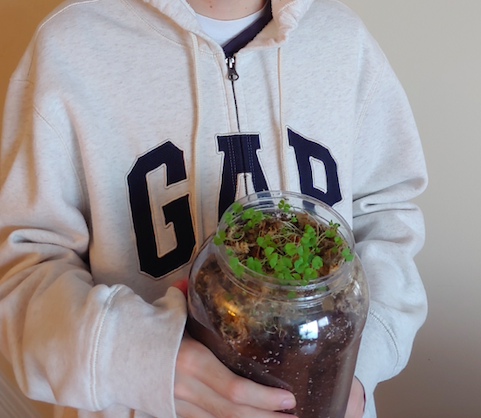 ✨GREENKIT G I V E A W A Y ✨ (Go to our Instagram <a href="/ghaontario/">Greenhouse Academy</a> to enter)

We have fun, interactive and educational activities that you and your family can do together, take care of and watch grow 🌱
#familytime #experientiallearning #learnandgrow