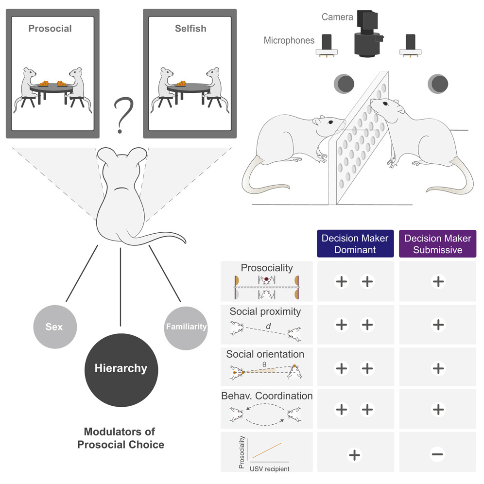 Michael Gachomba🏃🏾♂️ tweet media