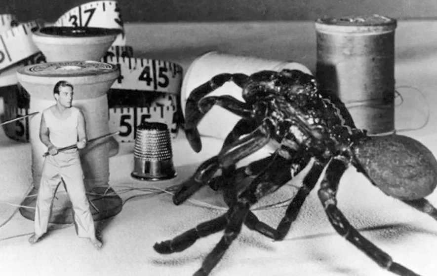 hollywoodsuite's tweet photo. βVictim of weird mist! / Science is baffled! / Deadly spider attacks!β π± π·οΈ
An incredible tagline for The Incredible Shrinking Man (1957). See this sci-fi classic tonight at 9pm ET. #ThursdayNightClassics https://t.co/Lz5MnQgqgX https://t.co/rHGIgKqt8K