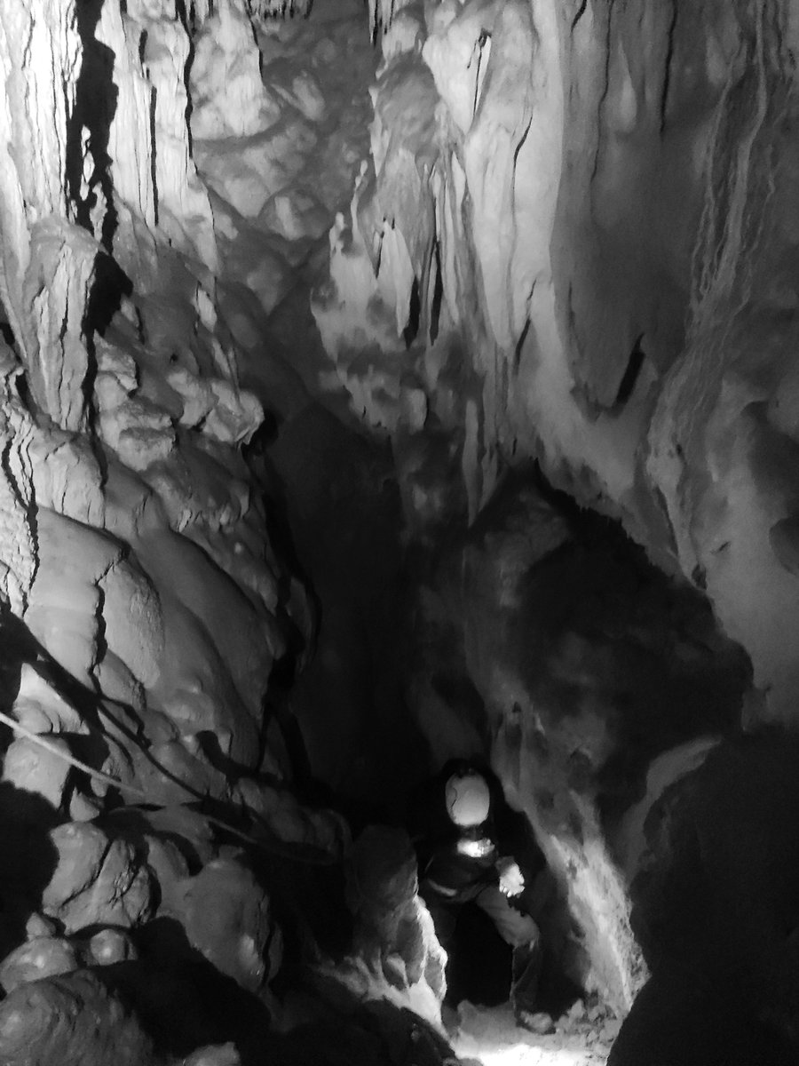 Esploratzen jarraitzen dugu 🧐🦡