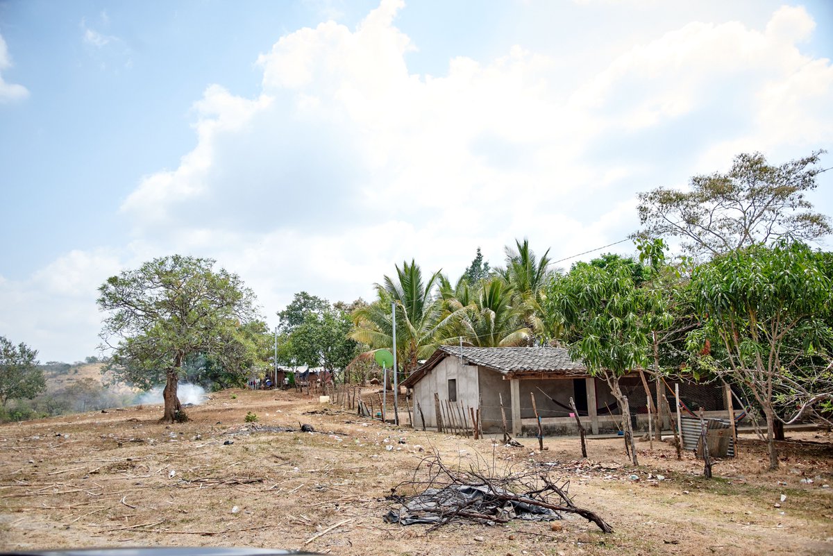 About 90% of the new cervical cancer cases and deaths worldwide in 2020 occurred in low- and middle-income countries.