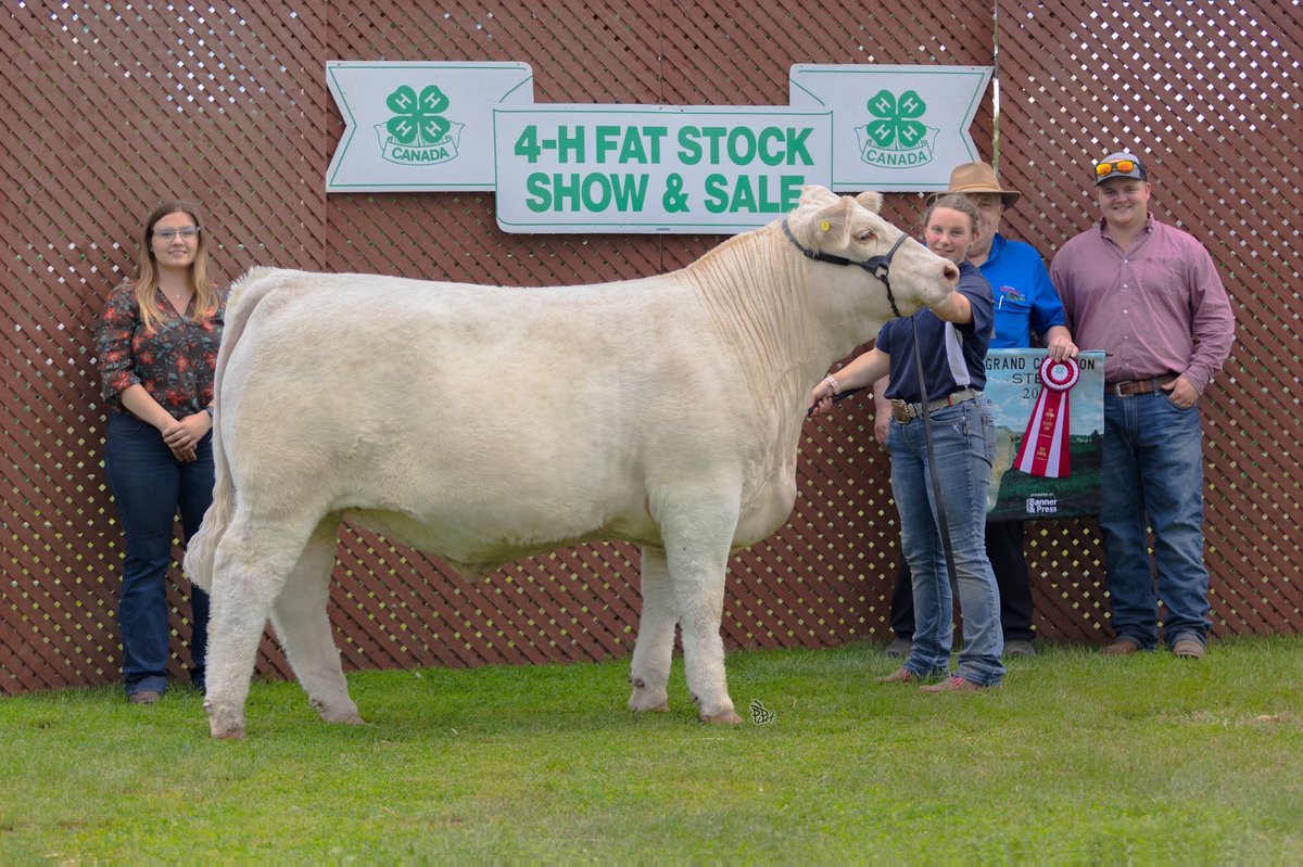 paulmrobertson1's tweet photo. Thank you ⁦@gillandschmall⁩ for buying Madisyns 4h calf again this year. It’s greatly appreciated. Also thank you to the other bidders and buyers for the sale your support is very appreciated. ⁦@htacharolais⁩ sired. #beidentifiable #notagrequired #charolais https://t.co/Ot36kSWkuB