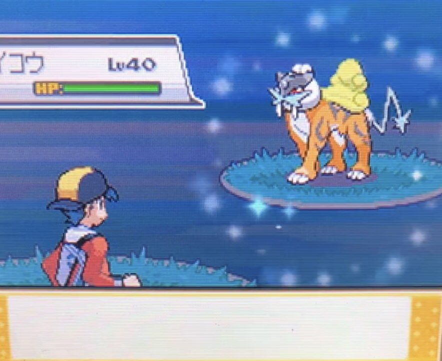 Stefan_tian1's tweet photo. shiny  Raikou after 3274 SRs ！finally！🤩🤩🤩🤩 https://t.co/cquKYdu4gf