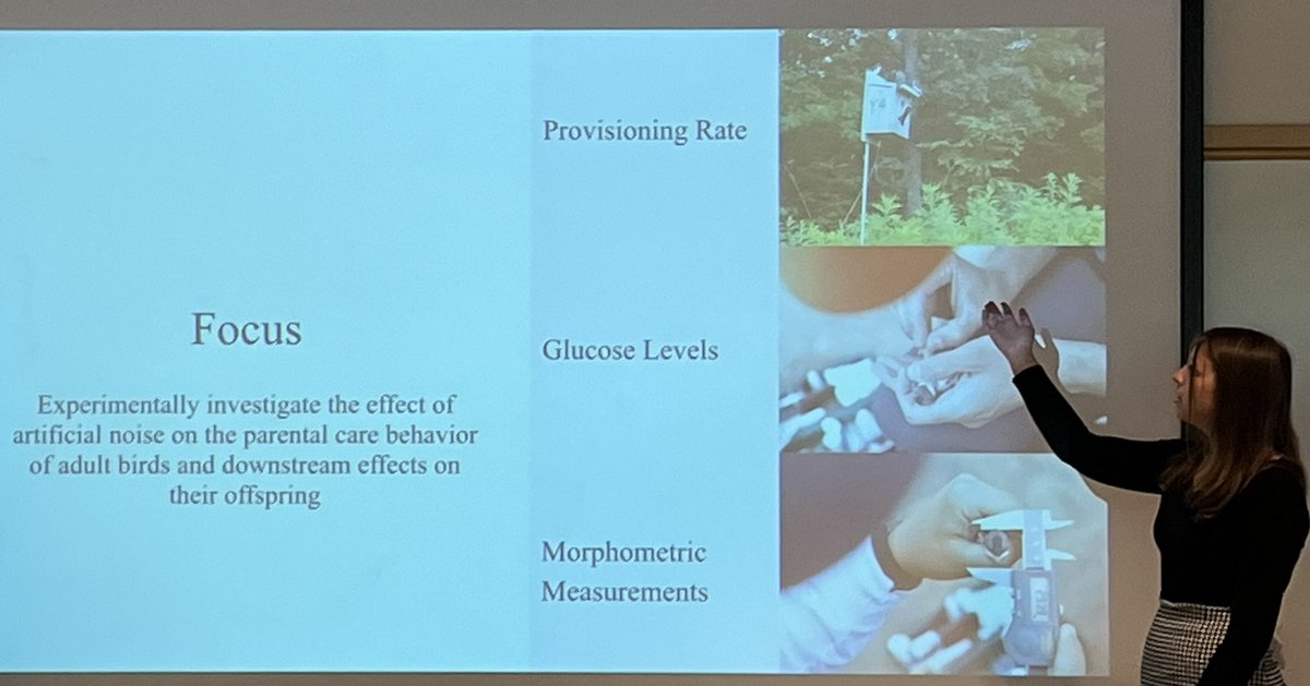 QUIP_RS's tweet photo. We’re enjoying Day #2 of 2022 final research presentations! QUIP-RS fellow Hannah Williams shared her research on urban noise and the provisioning rates and health of tree swallows. https://t.co/Ss41VNGJpy