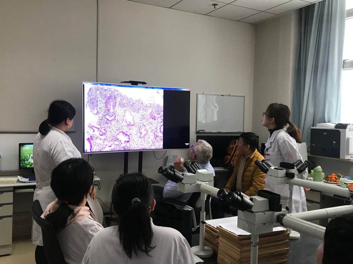 We perform world-class medical research, and educate and advocate for women around the world to gain access to life-saving cervical cancer screening and treatment.