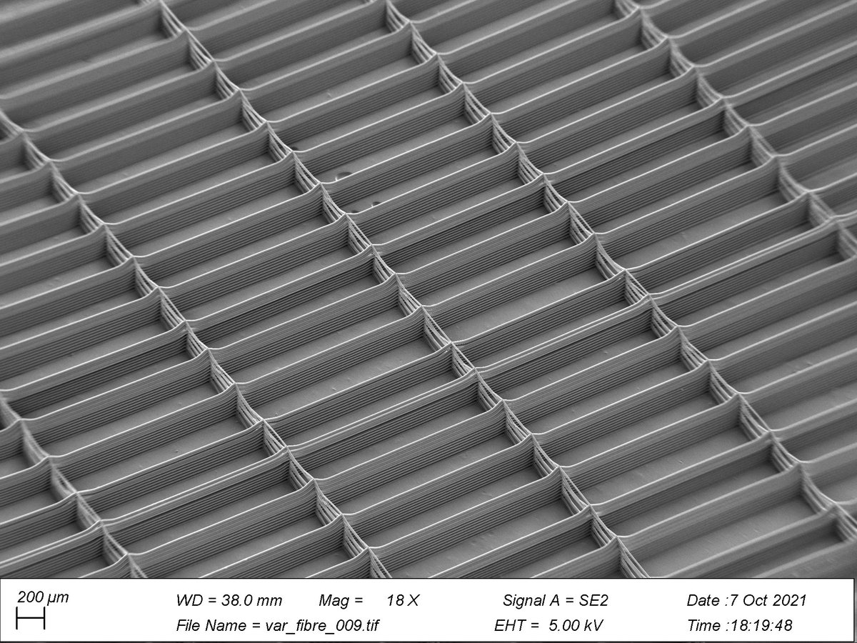 Kian Eichholz tweet media