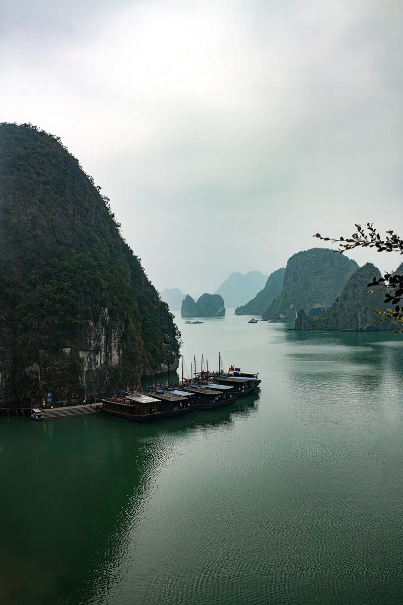 Nature Space (@naturespace_) on Twitter photo 