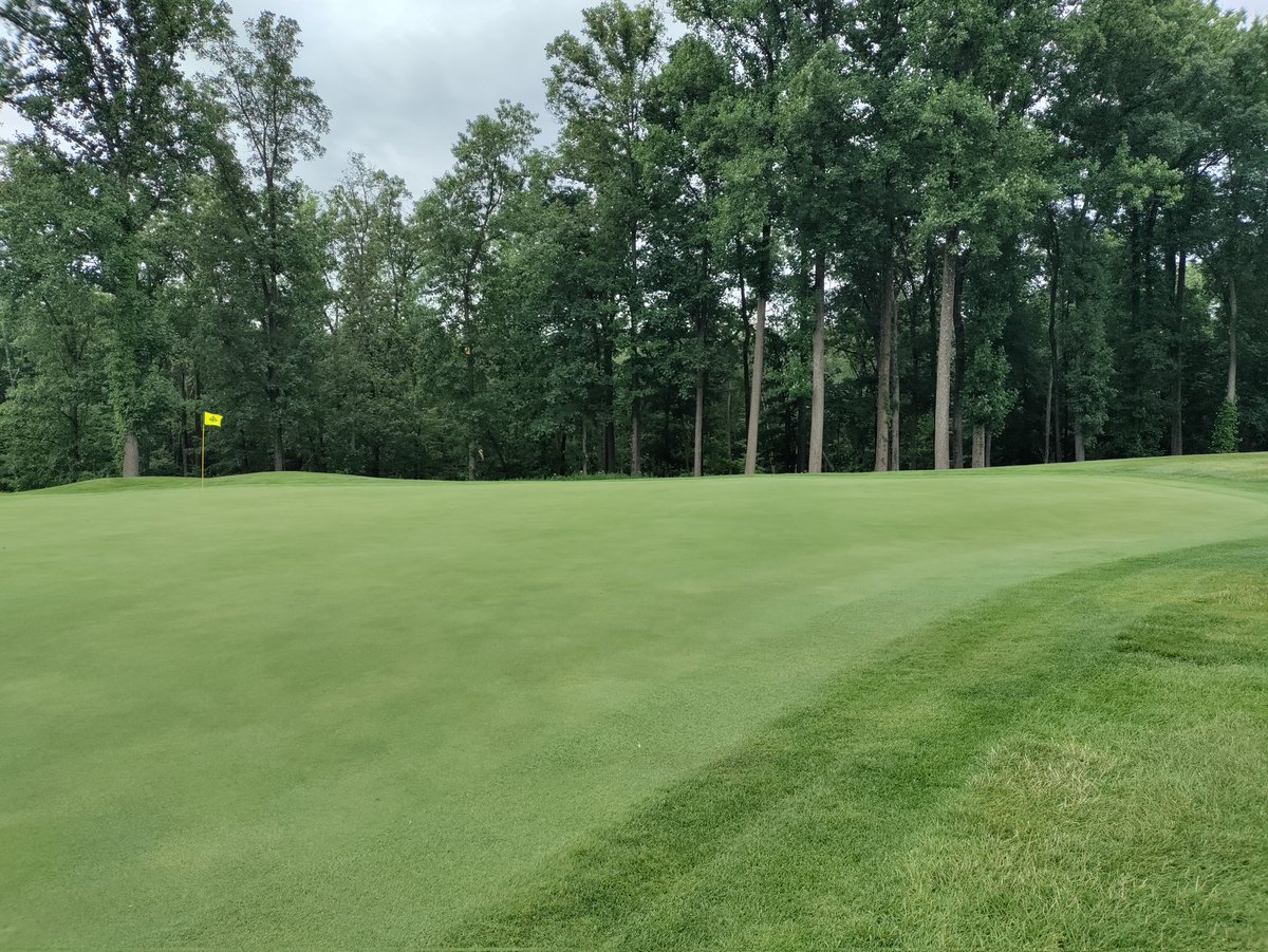 Bentgrass putting surfaces that have zero stripes are nutritionally balanced. If you see light &amp; dark lines thats a sign of a well fed surface.