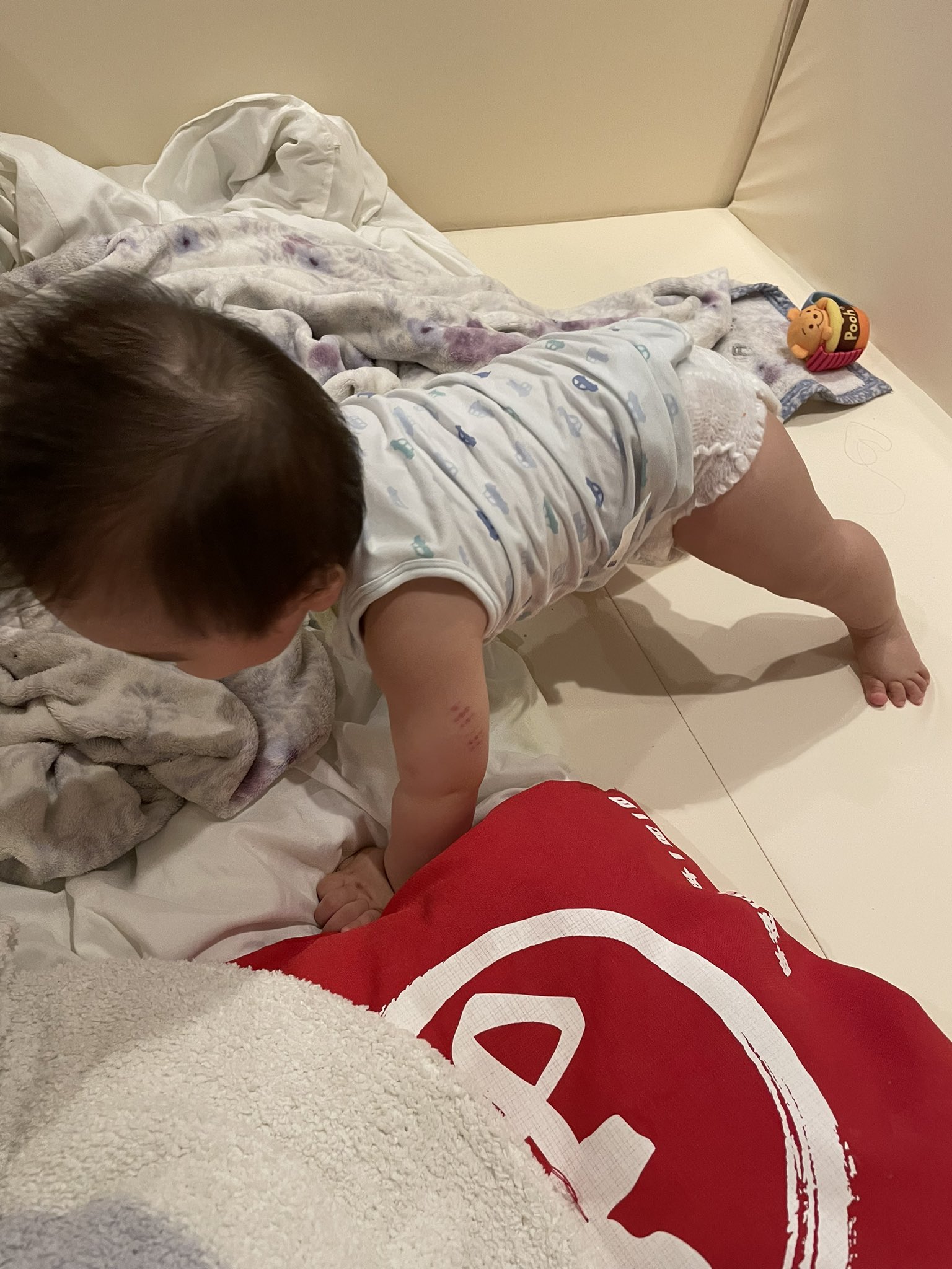 結城のゆんめ Yumenihei Twitter