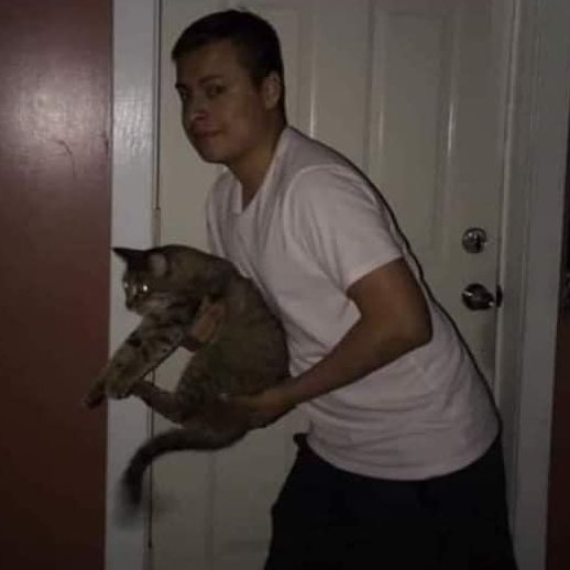 yo a la noche buscando al gato para que duerma conmigo