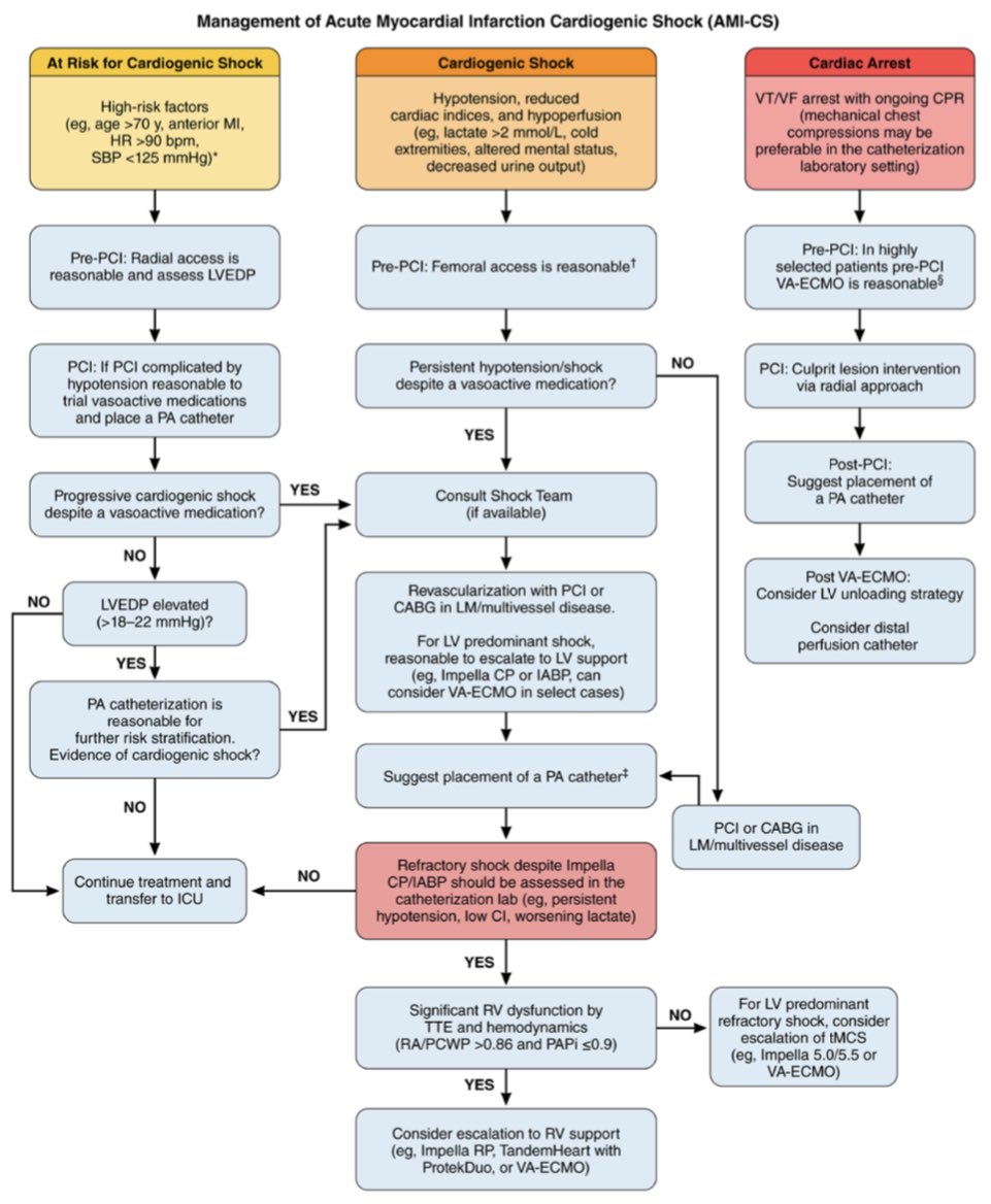 agtruesdell's tweet photo. 👍Escalating and De-escalating Temporary Mechanical Circulatory Support in Cardiogenic Shock💥⚡️: by an all-star multi-disciplinary writing team: https://t.co/BQa75Qwf3J… https://t.co/hRCcrTl8Cy