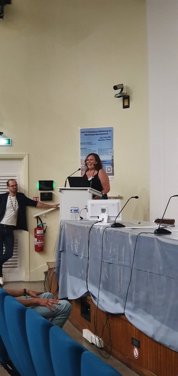 INT Marmobrain tweet media