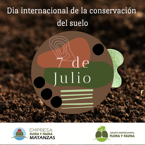 FlorayFaunaMtz's tweet photo. El suelo, un recurso vivo por la  cantidad de vida que alberga y de procesos biológicos que acontecen en el mismo. La desforestación, la quema de residuos, el mal manejo o sobre laboreo son algunas de las causas de degradación. El suelo está vivo ¡no lo mates! #soil #SoilHealth https://t.co/viq7AsaqRA