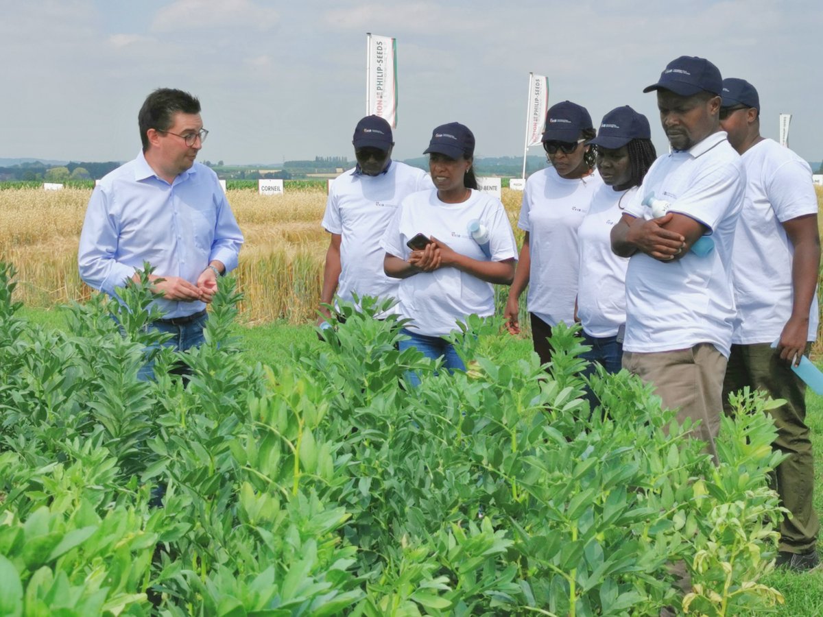 PlantBB_IPBO's tweet photo. Fellows from #maizesummercourse2022 visited #jorionphilipseeds, a family company. After 120 years in business, they strive to serve their customers with quality seeds. @VLIRUOS @PSB_VIB https://t.co/qbh6UUVjkd