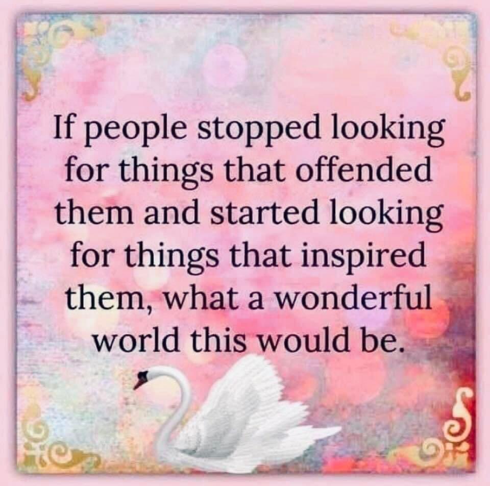RocksofUnity's tweet photo. Daily Dose of Kindness: Continue to search for all the things that inspire you. In life, we can see a bunch of roses or a bunch of thorns. It all comes down to the perspective you bring to the situation. Every day might not be good, but there is good in every day. https://t.co/Lfv9OptfoK