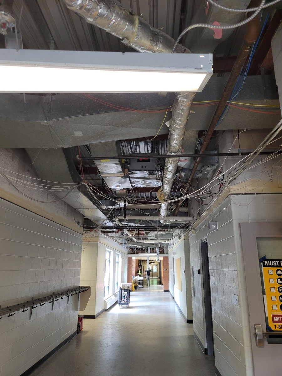 Anna Taylor tweet media