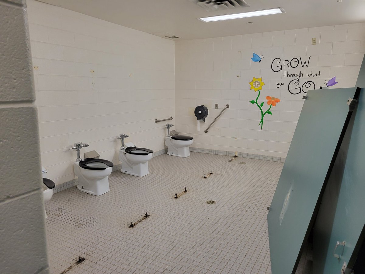 Anna Taylor tweet media