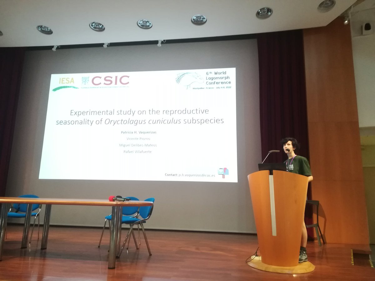 GSouchay's tweet photo. Patricia #Vaquerizas about #reproductive seasonality in #rabbit in ๐ช๐ธ
#WLC6 https://t.co/bqDXdVgGj9
