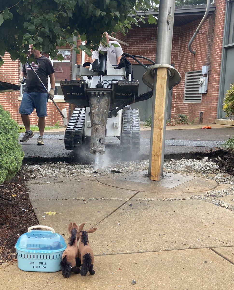 What do the QE classroom mascots do all summer? Today they had a front row seat to see the concrete work at the front entrance. Most days they count down the days until students return! #QvillePride #inspiring