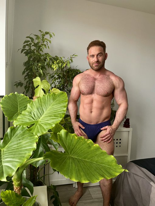 Just planning out what projects to do at home next. 😘💪🌱 https://t.co/YFbIQZg9O2