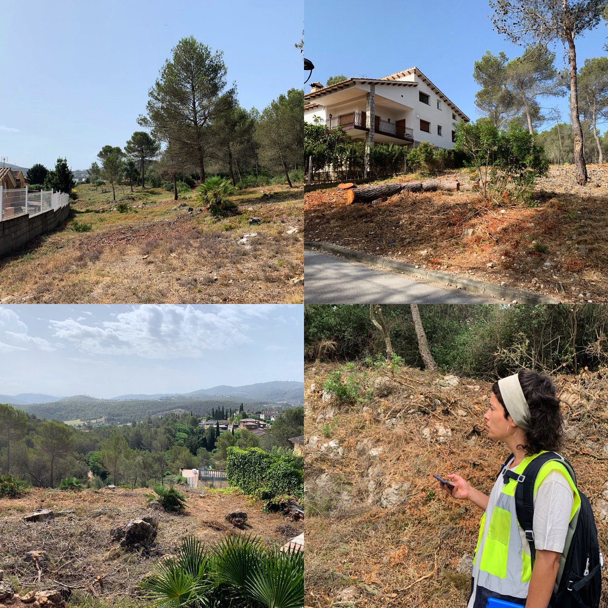 📝👷🏻 Funcions principals que desenvolupa la DFO en el seguiment d’una obra de treballs forestals per la #prevencioIF :

✔️🧐 pel compliment de la normativa vigent ⚠️🔥🏡
✔️🧐pel compliment del període d’execució establert📆
✔️🧐 pel compliment del 💰 d’execució assignat
…