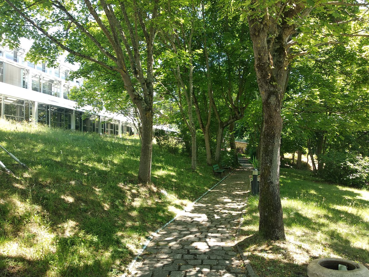 SauvageOlivia's tweet photo. Que de joie d'apprendre l'admission de notre étudiante Roxana Pérez à l'Ens-Lyon en histoire-géographie. #LaBruyere https://t.co/HIpRbSS9cE