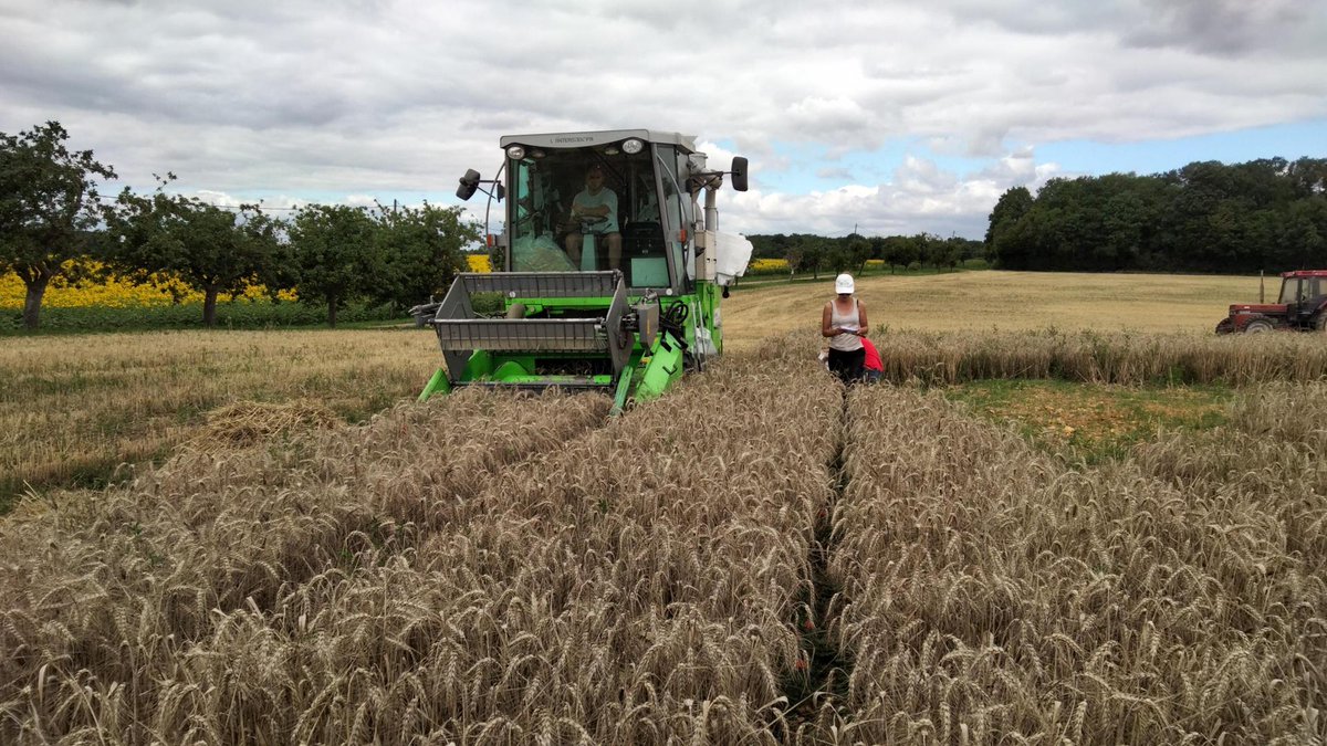 Coopérative COCEBI tweet media