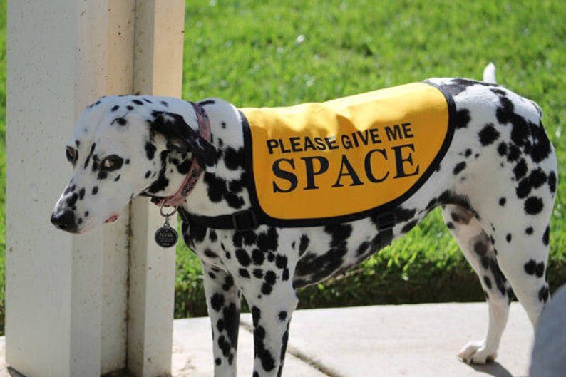 Academic conferences should replace the lanyard with individualised vests listing our anxieties.