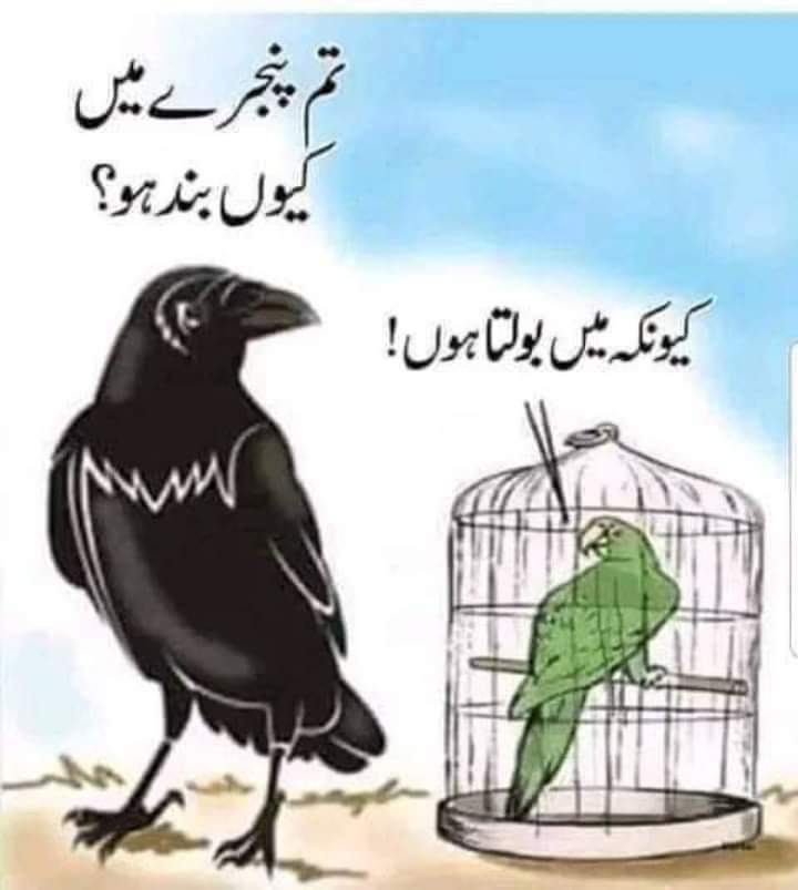 Aftab Amber (@aftabamber3) on Twitter photo 