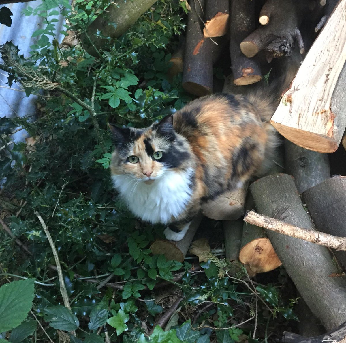 yuo canot buy.  My logs . And it was ordacious of yuo to . Even aske