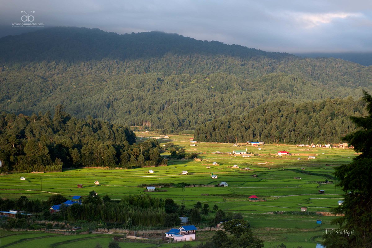 You cant wish to die here but its the place you must see before you die | Ziro - Arunachal Pradesh - India <a href="/arunachaltimes_/">The Arunachal Times</a>