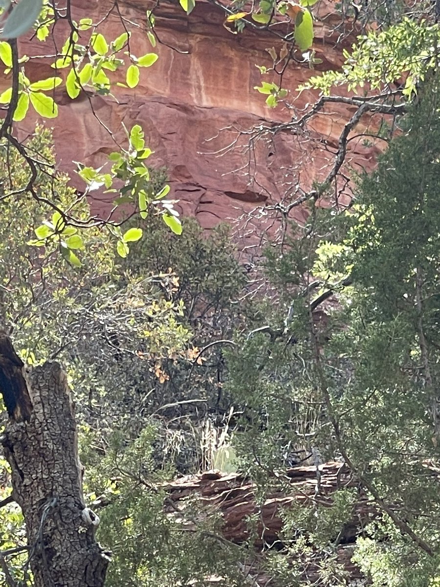 Jens.Flow.of.Life tweet media