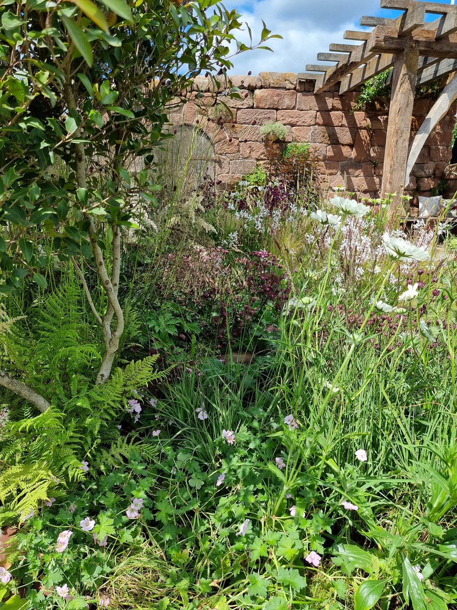 1/2
 
Our charity partner, <a href="/GardenCentre/">Blue Diamond Garden Centres</a>, is currently exhibiting at #RHSHamptonCourt, where they're donating £1 from every sale of their relaunched Queen Bee rose to the #SoilAssociation! 🌹🐝
 
There's still time to grab a ticket: soilassociation.co/3ulqJMz