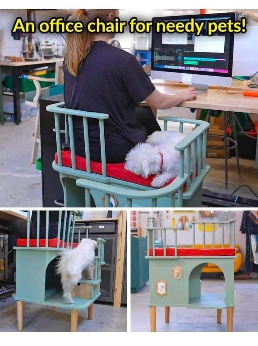 Happy Dog on Twitter "An office chair for needy pets 😍😅 https//t.co