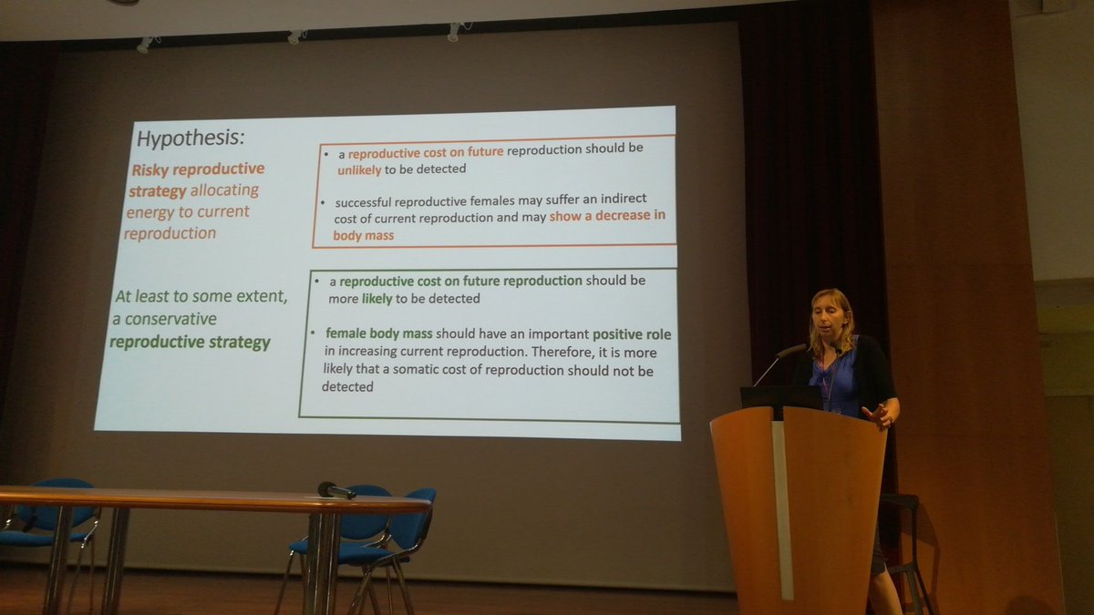 GSouchay's tweet photo. Maria #Ferloni ๐ฎ๐น talking about #reproduction #costs in European and mountain #hares in Central Alps ๐ฎ๐น
#WLC6 https://t.co/kBy9weSlYb